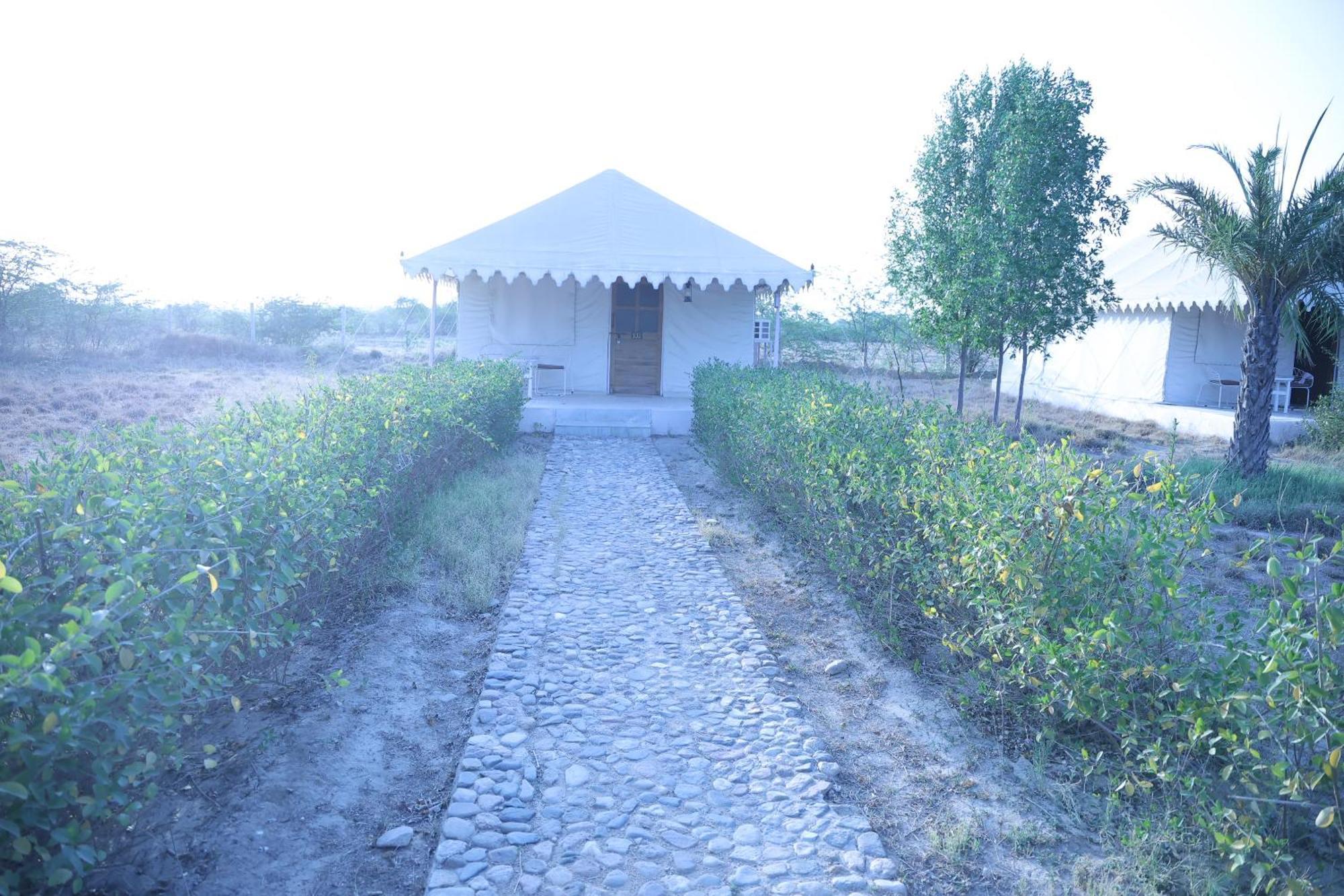 ホテル Jawai Bera Leopard Camp エクステリア 写真